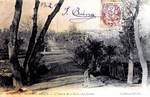 Sidi-Bel-abbes - Avenue de la Vallee des Jardins - 1909